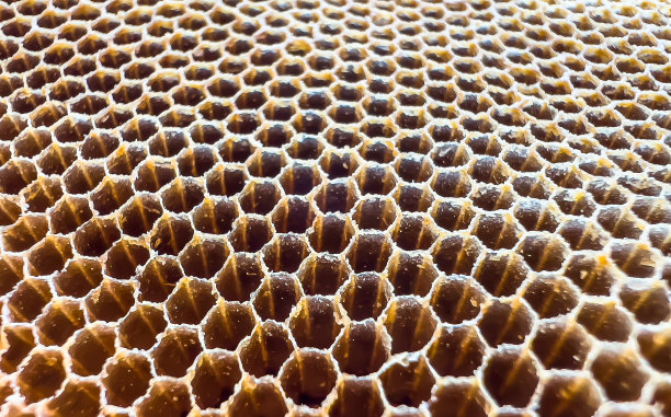 蜂窝纹理和图案背景。图片下载