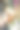 理发的约克郡犬在美容沙龙的耳朵，特写图片下载