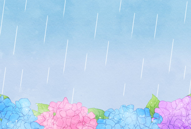 美丽的水彩绣球背景插图图片下载