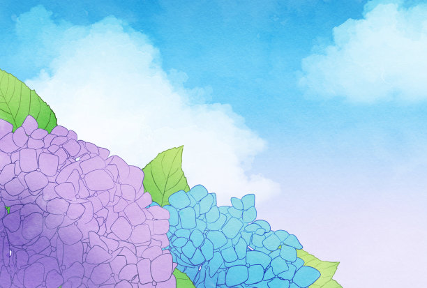 美丽的水彩绣球背景插图图片下载