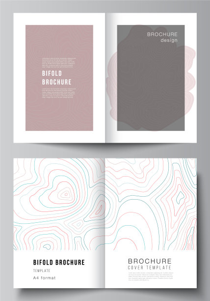 版式两张a4版式现代封面图片下载