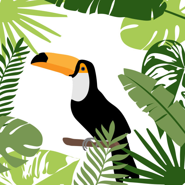 巨嘴鸟，长着奇异的热带树叶图片下载