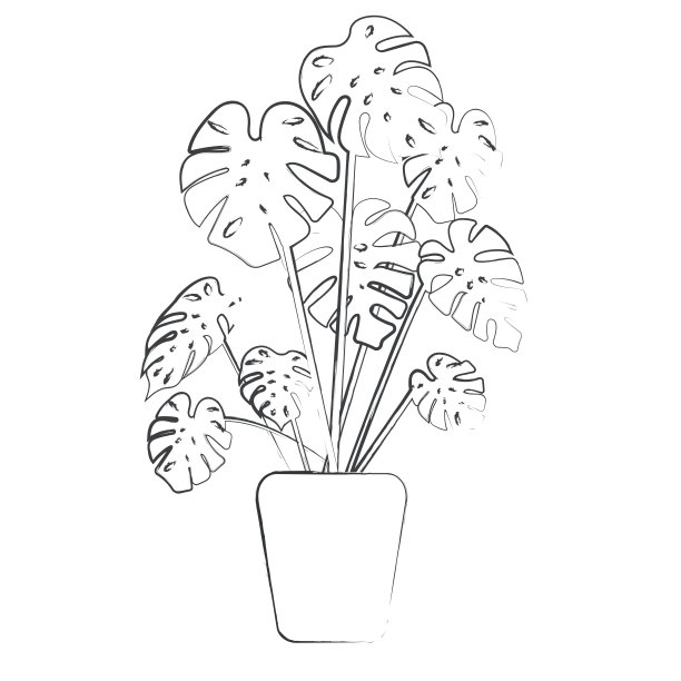 黑白手绘室内植物，海报，横幅，标签。向量孤立。图片下载