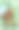 大黄蜂B的信。A-Z字母集合与可爱的卡通动物在2D。大黄蜂骑着一辆黄色的自行车，看着镜头。手绘有趣简单的风格。图片下载