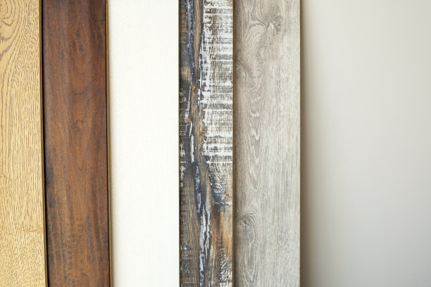 房间内部地板的一组样品图片下载