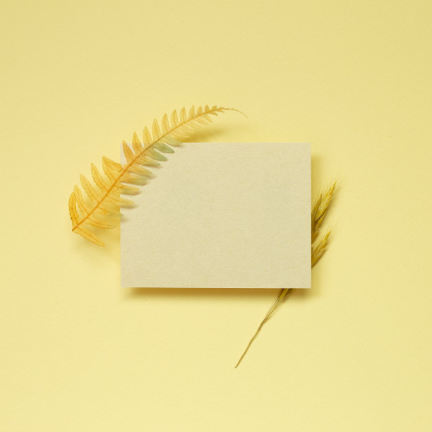 黄色空白备忘录纸，底色为黄色，页干。俯视图，复制空间图片下载