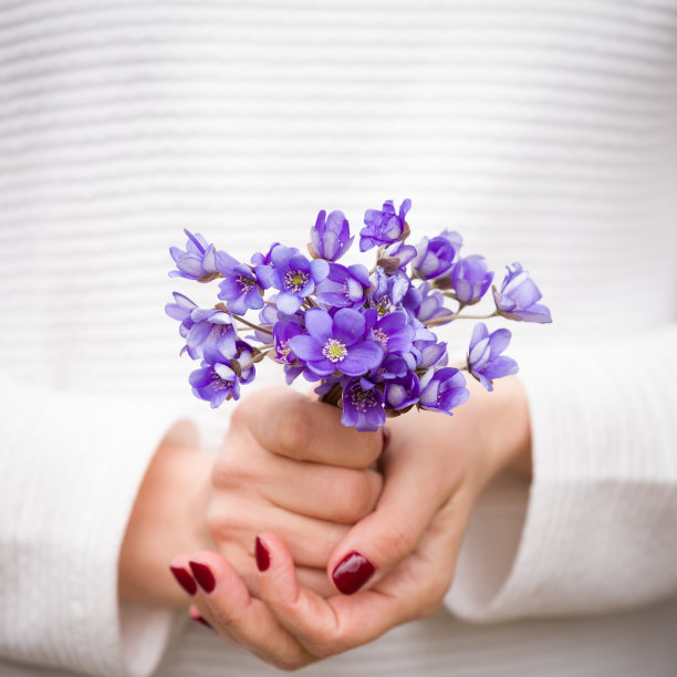 特写小束美丽的蓝色雪花莲在一个女孩的手中。迎春花的俯视图。春天的心情。有花的女孩。图片下载