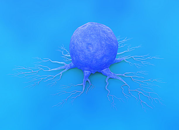 人类癌症细胞图片下载