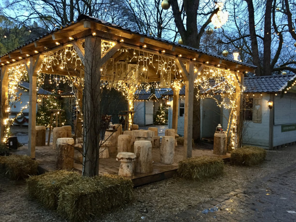 瑞士-日内瓦-圣诞市场图片下载