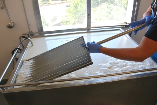 奶酪师傅把琴放进牛奶箱里。图片下载