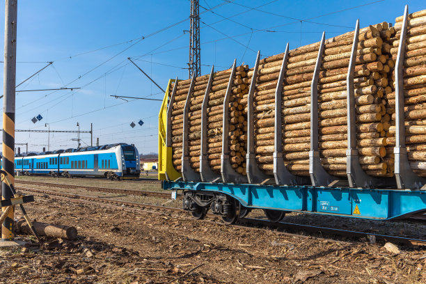 木工行业。捷克共和国满载木材的货车。木材交易。满载木材的货车。用铁路运输木材图片下载