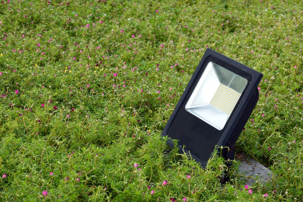 花园里的Led灯。Eco灯。能源效率的概念图片下载