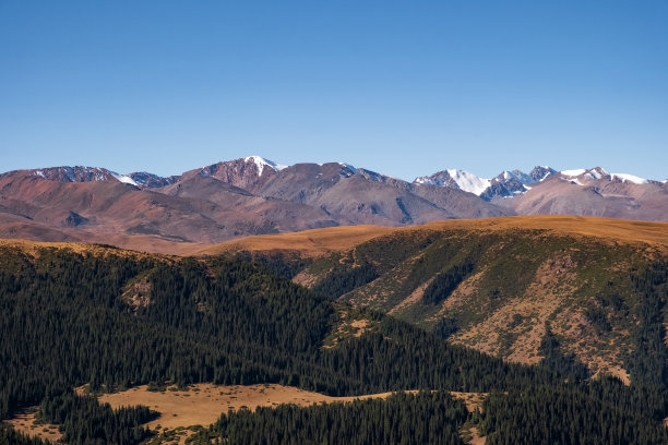 美丽的山脉，云杉林，岩石和山顶的雪。唐zhailao高原。旅游观光哈萨克斯坦概念。准噶尔Alatau。图片下载