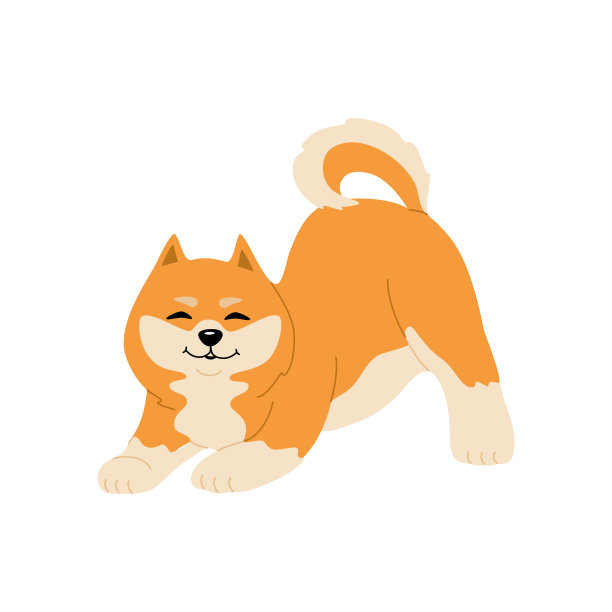 可爱的柴犬。图片下载