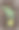 蜥蜴L的信。A-Z字母集合与可爱的卡通动物在2D。绿色蜥蜴爬着，尾巴拿着柠檬。从以上观点。手绘有趣简单的风格。图片下载