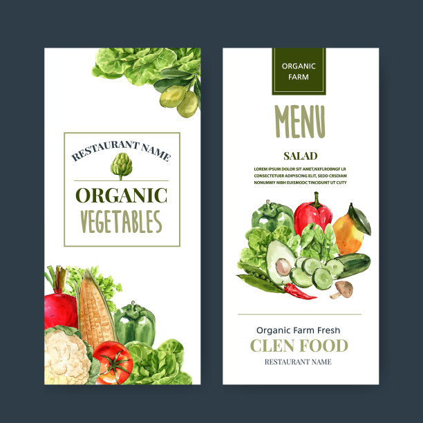 蔬菜水彩画收藏新鲜食品图片下载