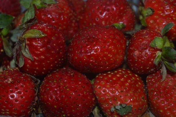 红熟草莓果图片下载