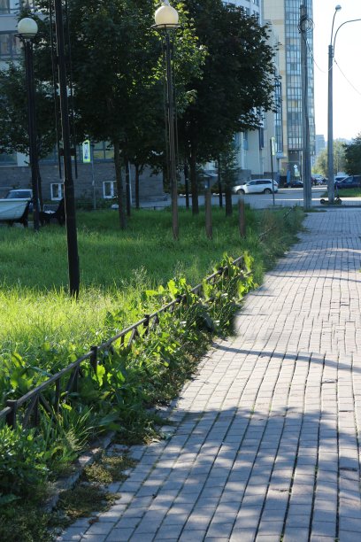 绿色空间在城市的人行道旁图片下载