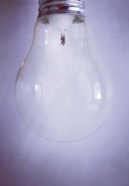 一个普通的灯泡，里面插了蜡烛，而不是电线，这表明了新危机给我们带来了什么。图片下载