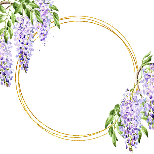 紫藤花牌。手绘水彩插图孤立在白色背景图片下载