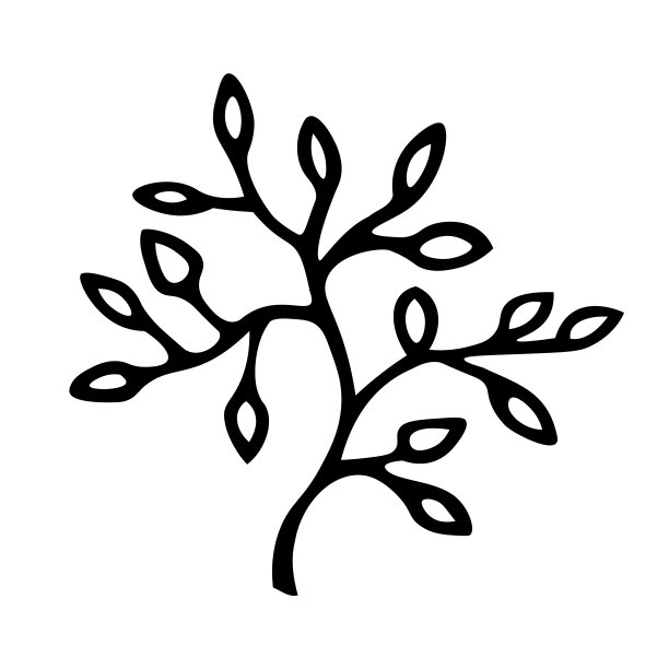 植物的分支图片下载