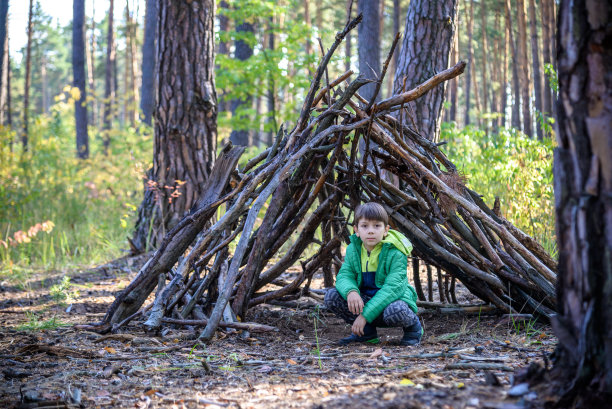 在春天或秋天的松林里，男孩玩他的建筑图片下载