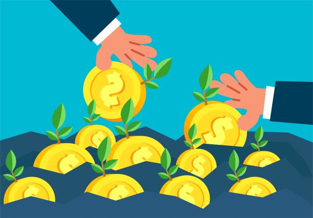 投资理念，播下硬币，长出钱树。投资，业务增长，众筹，财务策略。图片下载