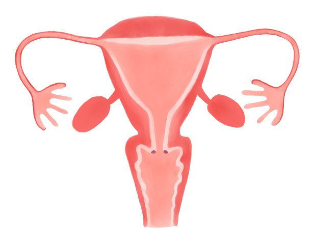 子宫颈癌0期图示图片下载