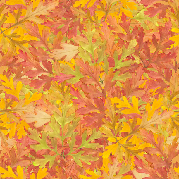 插图，花的纹理。用于连续复制的无缝模式。花卉背景，照片拼贴纺织品，棉织物。用于墙纸，封面，打印图片下载