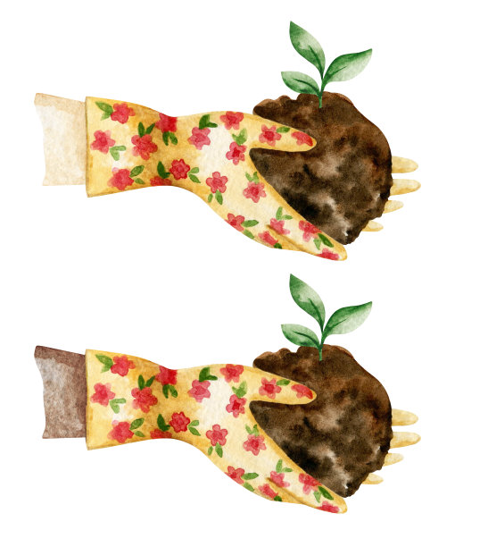 水彩园丁手与苗夹艺术，女性手插图图片下载