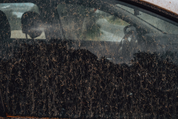 在泥泞的雨后关上肮脏的车窗图片下载