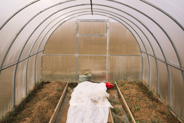 一个种植水果和蔬菜的小温室的照片，里面的观点。图片下载