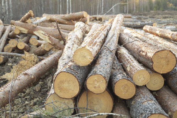 收获的木头。图片下载