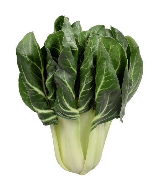 绿叶蔬菜甜菜图片下载