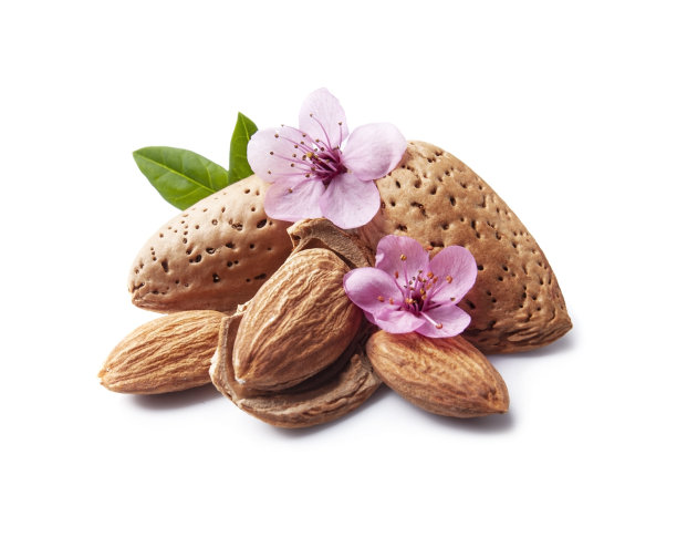 有叶有花的杏仁图片下载