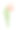 水彩红色郁金香花插图图片下载