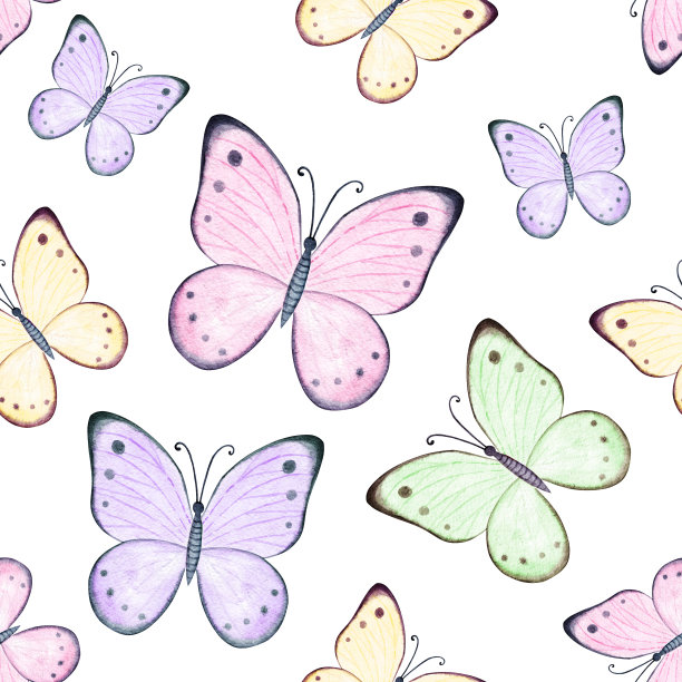 水彩可爱的蝴蝶无缝图案上的白色图片下载