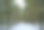 雪下的冬季混交林的灌木丛图片下载