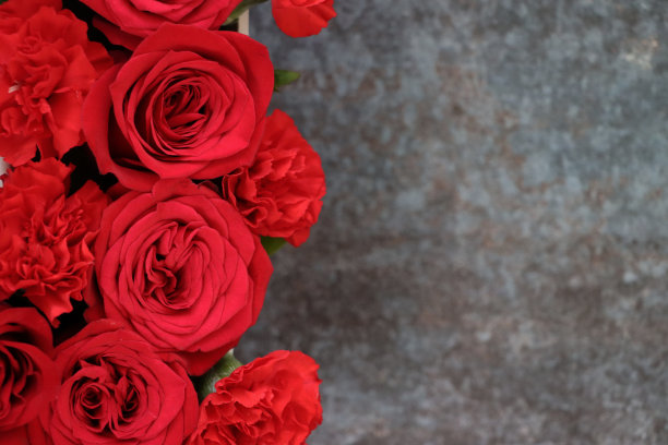 特写图像的白色花瓶的红玫瑰，灰色的背景，情人节和浪漫的概念，升高的观点，复制空间图片下载