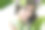年轻美丽的新娘手捧花束，手捧花圈。图片下载