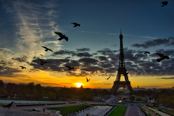 巴黎美丽的景色:埃菲尔铁塔在日出和鸟儿飞翔图片下载