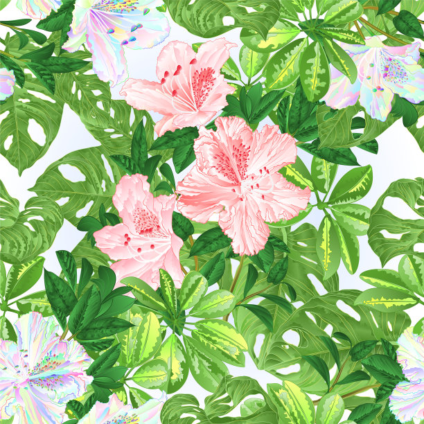 粉红色和多色无缝纹理图片下载