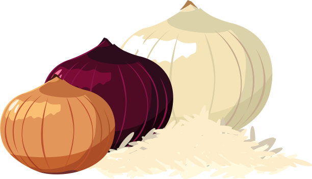 洋葱，红色和白色的蔬菜图片下载