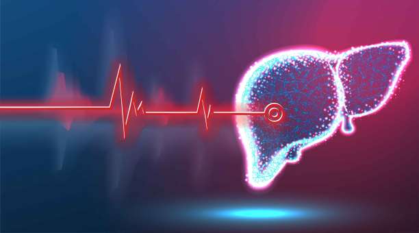 人体胃解剖横截面病点。健康医学理念。摘要低聚线框网格设计。红色和蓝色背景。矢量图图片下载