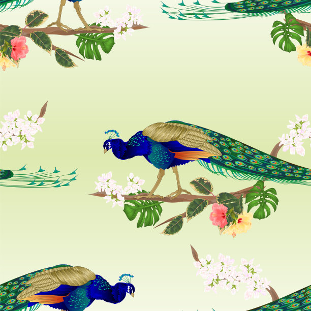 无缝纹理孔雀热带鸟在树枝上图片下载