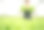 亚洲农民用水培法种植健康营养的有机沙拉蔬菜。图片下载