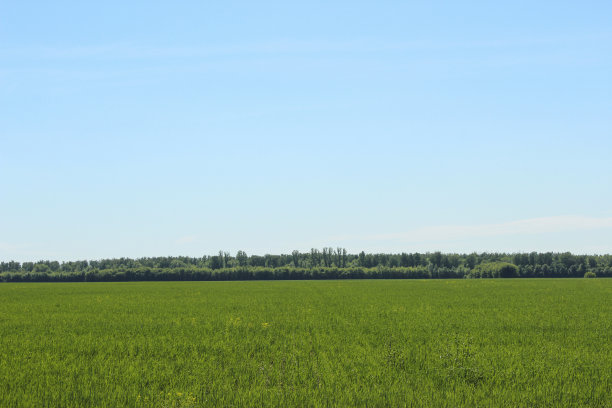 田野里春天的景色图片下载