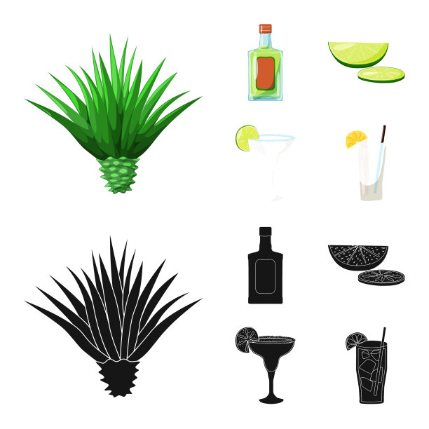 孤立的对象咖啡馆和拉丁标志集图片下载