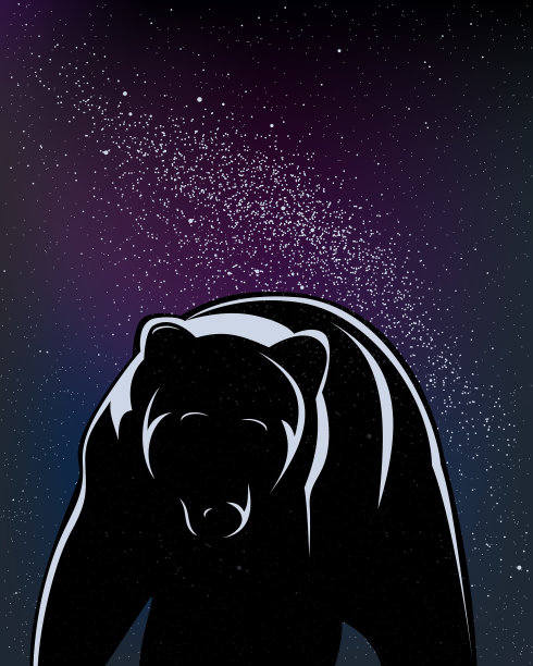 在繁星满天的夜晚独自行走的黑色熊图片下载