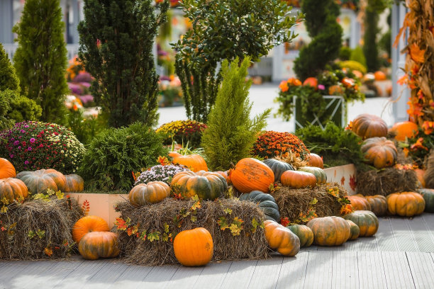 莫斯科金秋节的装饰南瓜，靠近克里姆林宫的红色广场。万圣节装饰用各种南瓜，秋季蔬菜和鲜花。收获和花园装饰。图片下载